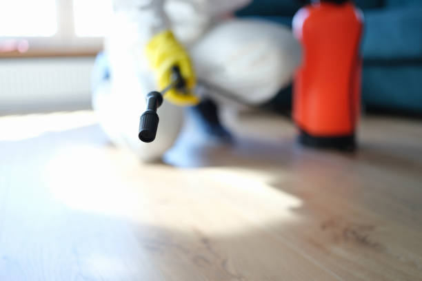 Best Airborne Mold Testing  in Stockton, UT