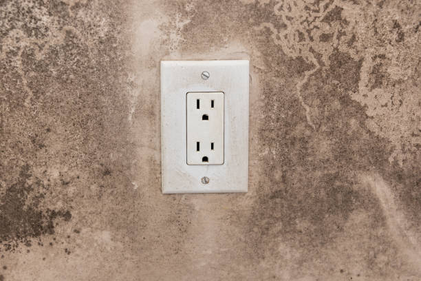 Mold Odor Removal Services in Stockton, UT